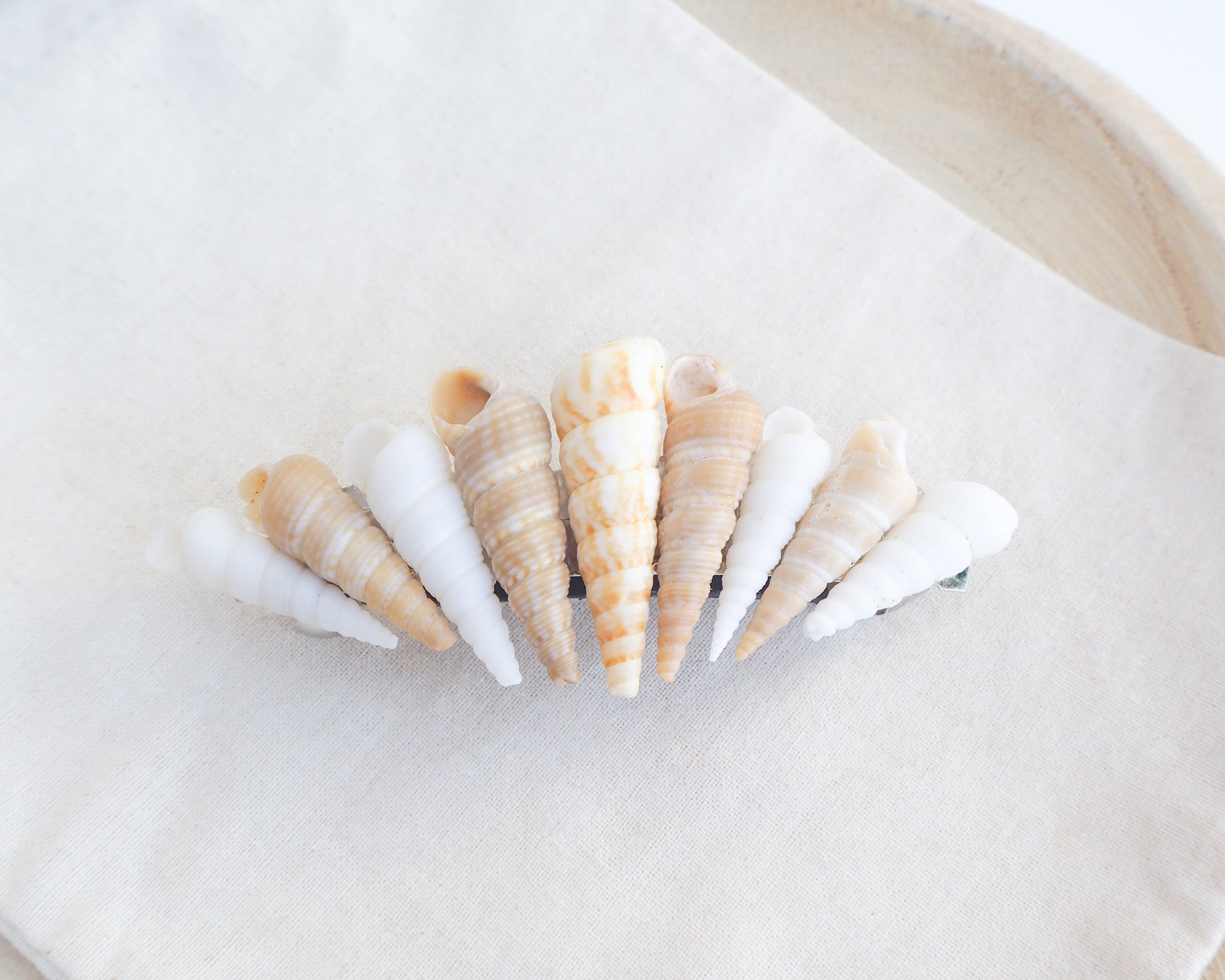 Front view of Model wearing Common Tower Shells Hair Clip Barrette, Boho Seashell Beach Clip from Portugal, Handpicked Real Shells, Seashell Hair Decoration, Bohemian Seashell Wedding Hair Assocciares, Coastal Christmas gift, Beach Wedding Hair