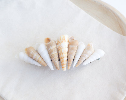 Front view of Model wearing Common Tower Shells Hair Clip Barrette, Boho Seashell Beach Clip from Portugal, Handpicked Real Shells, Seashell Hair Decoration, Bohemian Seashell Wedding Hair Assocciares, Coastal Christmas gift, Beach Wedding Hair