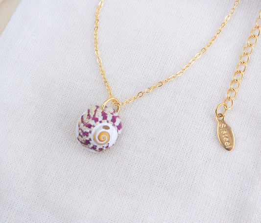 Bordeaux Striped Top Shell Necklace, red topshell from Portugal on display