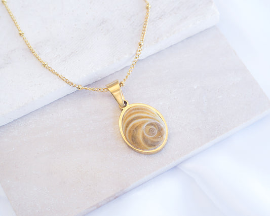 Brown Eye of Saint Lucia Gold Necklace on stone displayed, 18k gold stainless steel brown shiva eye pendant necklace, Saint Lucy Eye, operculum pendant