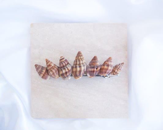 Brown Netted Dog Whelk Shells Hair Clip Barrette II on stone displayed, Boho Seashell Beach Clip from Portugal, Handpicked Real Shells, Seashell Hair Decoration, Bohemian Seashell Wedding Hair accessories, Coastal Christmas gift, Beach Wedding Hair
