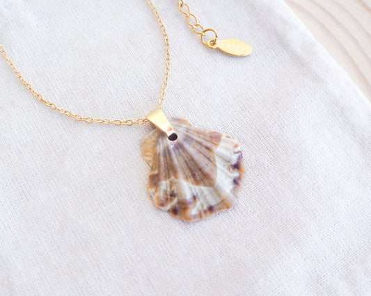 Brown Scallop Shell Gold Necklace on display