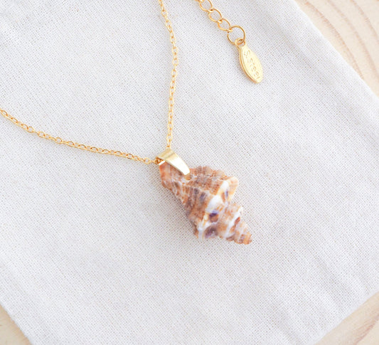 Brown Sting Winkle Gold Necklace on display