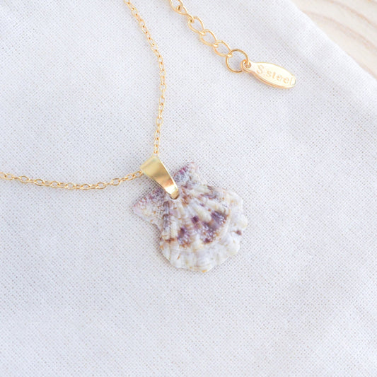 Gold Scallop Shell Necklace with Brown White Leopard Scallop Shell on display