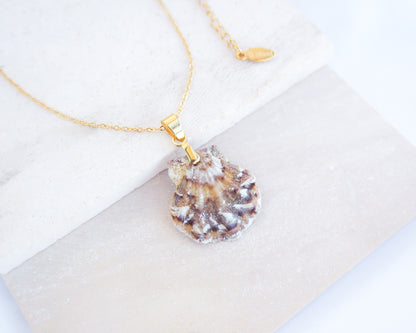Brown White Scallop Shell Necklace on stone displayed, Brown White Leopard Scallop Shell from Portugal, 18k gold stainless steel chain, Flexopecten flexuosus shell necklace