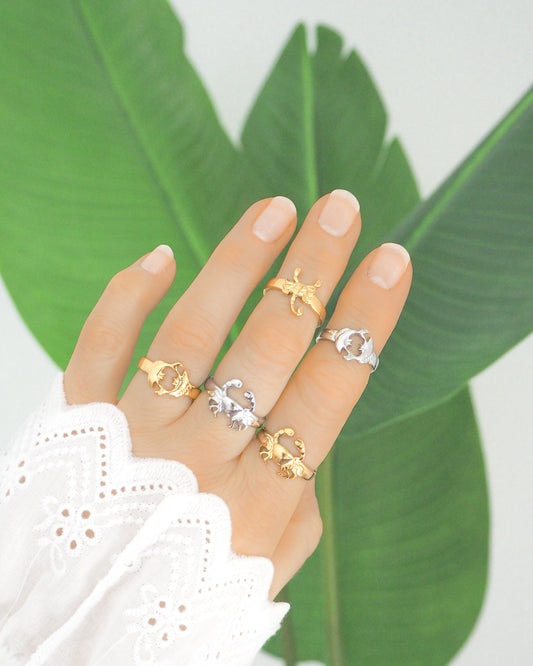 Hand showcasing gold and silver rings, crab ring, cancer zodiac ring, pisces zodiac ring, fish ring, scorpio ring, zodiac jewelry, made with stainless steel, model wearing white sleeve and the background has green plant leaves.