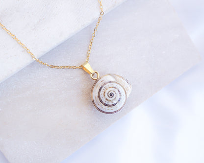Gold Mediterranean Coastal Snail Necklace, Caracol, Sand Snail front view