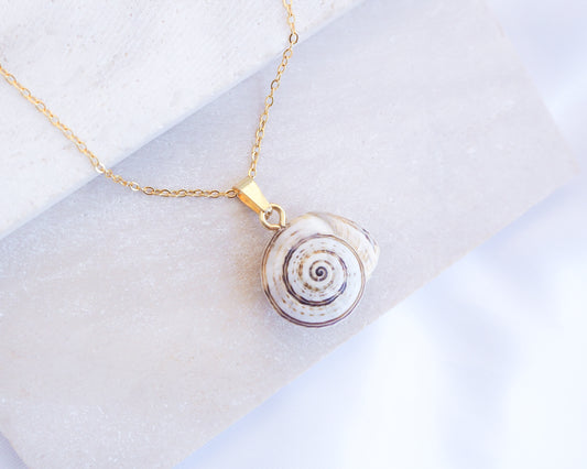 Gold Mediterranean Coastal Snail Necklace, Caracol, Sand Snail front view
