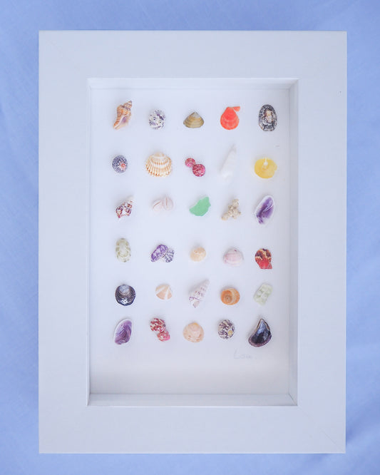 Coastal artwork Seashell Mini Mix featuring 30 tiny beach treasures and shells handpicked from Portugal set in a white glass frame box. Coastal Beach Art for nightstand and bookshelf. seabylou, SEA by LOU