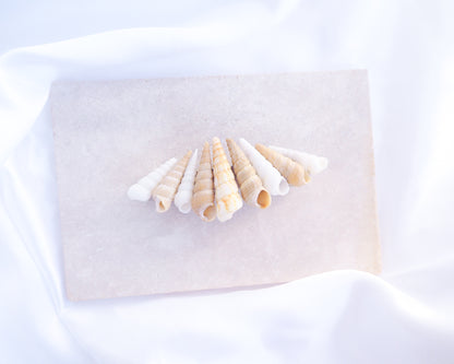 Common Tower Shells Hair Clip Barrette on stone displayed, Boho Seashell Beach Clip from Portugal, Handpicked Real Shells, Seashell Hair Decoration, Bohemian Seashell Wedding Hair Assocciares, Coastal Christmas gift, Beach Wedding Hair