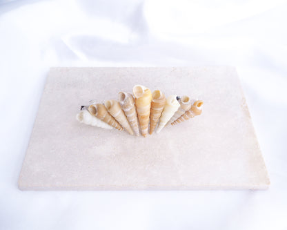 Common Tower Shells II Hair Clip Barrette