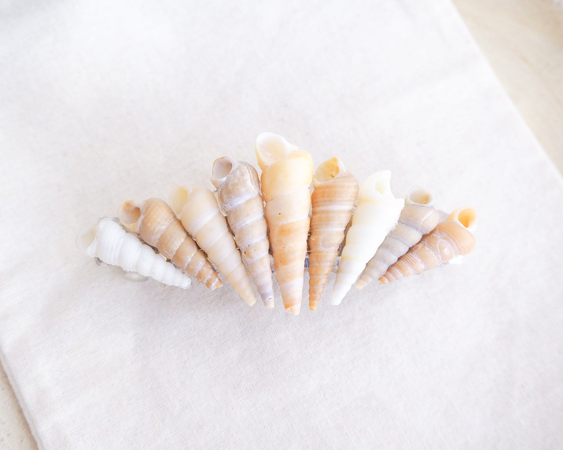 front view of Common Tower Shells II Hair Clip Barrette, Boho Seashell Beach Clip from Portugal, Handpicked Real Shells, Seashell Hair Decoration, Bohemian Seashell Wedding Hair Assocciares, Coastal Christmas gift, Beach Wedding Hair