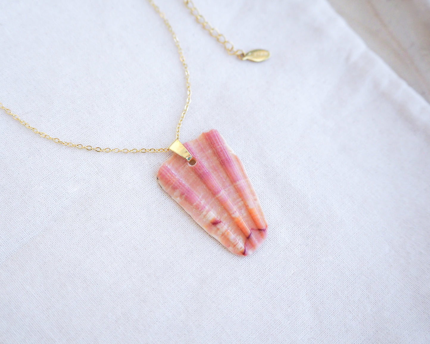 Close up of Coral Great Scallop Shell Piece Pendant with Gold Stainless Steel Necklace Chain on display, Sea by Lou