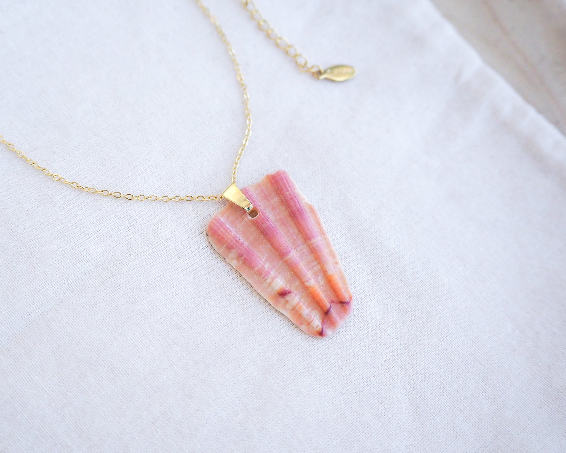 Close up of Coral Great Scallop Shell Piece Pendant with Gold Stainless Steel Necklace Chain on display, Sea by Lou