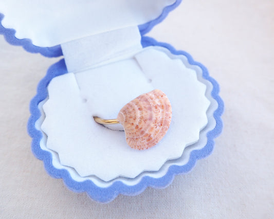 Coral Orange Pattern Venus Shell Gold Ring in seashell jewelry box, sea by lou, shell jewelry from Portugal