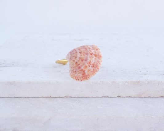 Coral Orange Pattern Venus Shell Gold Ring on display
