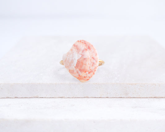 Coral Pink Venus Shell Ring from Portugal displayed on stone, Marble Pink shell on gold ring, handpicked real shell from Portugal
