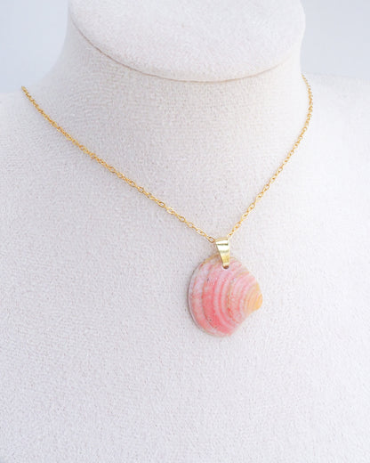A neck display with gold chain necklace with a natural coral peach pink seashell pendant. The seashell is a venus shell handpicked from Portugal set in a gold clasp and gold necklace chain. Made of 18k gold stainless steel.
