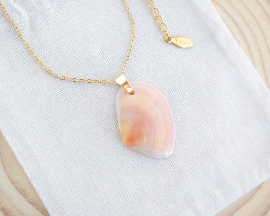 Coral Pink Thin Tellin Shell Gold Necklace on display