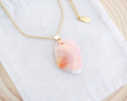 Coral Pink Thin Tellin Shell Gold Necklace on display