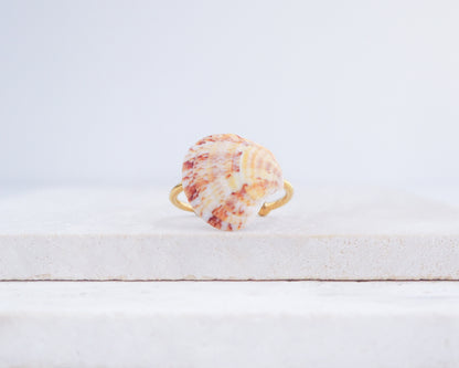 Coral Venus Shell Gold Ring from Portugal displayed on stone, patterned colorful pink orange red shell ring