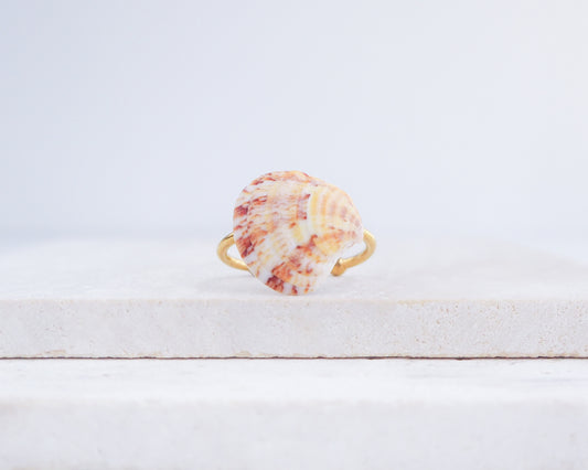 Coral Venus Shell Gold Ring from Portugal displayed on stone, patterned colorful pink orange red shell ring