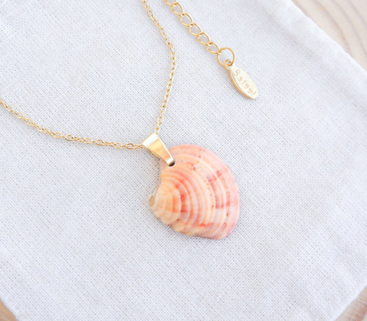 Coral Venus Shell Gold Necklace on display