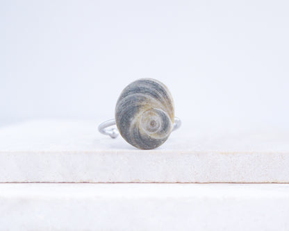 Dark Grey Eye of Saint Lucia Shell Silver Ring III displayed on stone front view, shiva eye from Portugal