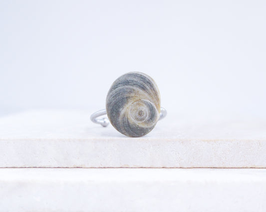Dark Grey Eye of Saint Lucia Shell Silver Ring III displayed on stone front view, shiva eye from Portugal
