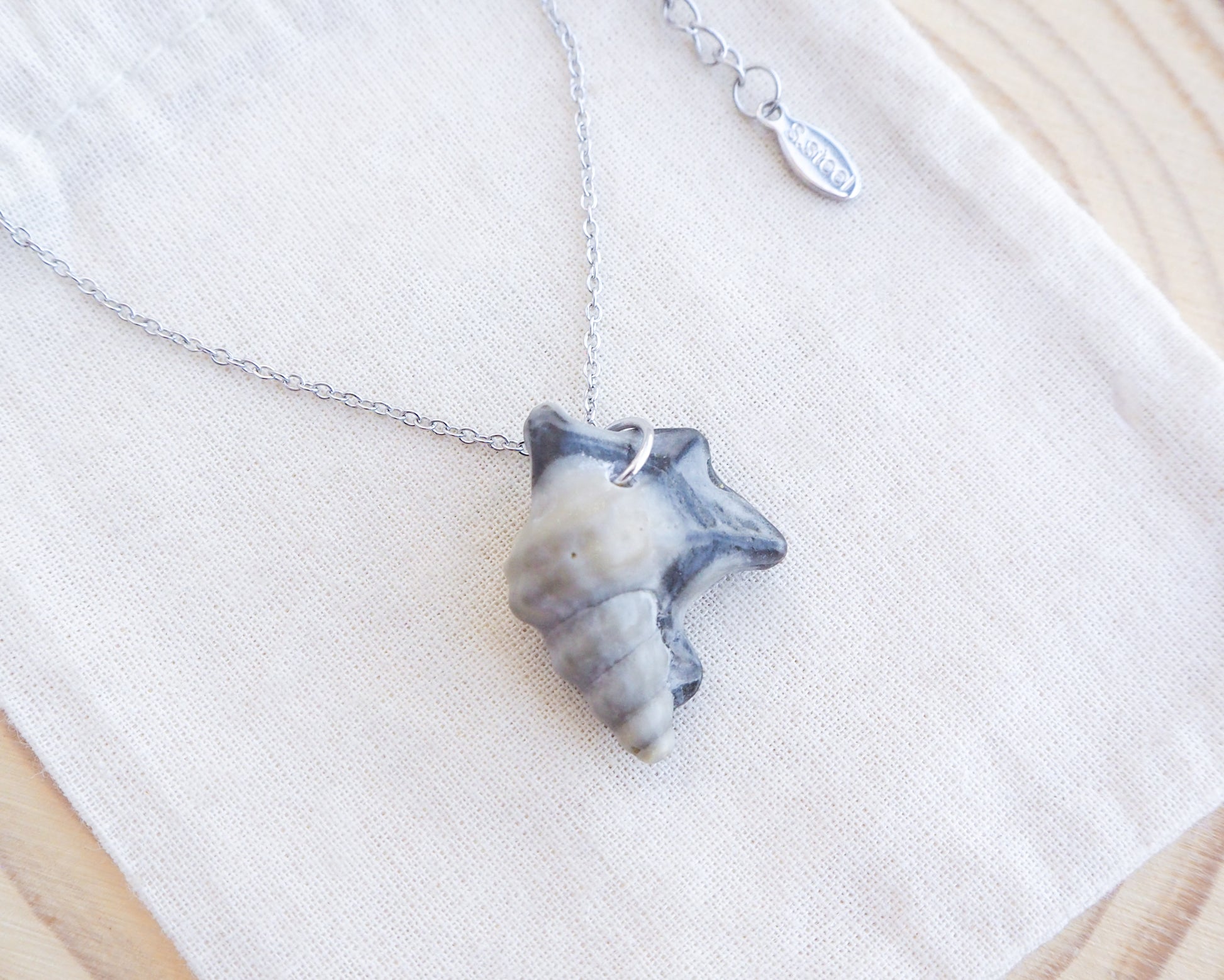 Dark Grey Pelican Foot Shell Necklace on display, Real Grey Shell from Algarve, Portugal, Silver Stainless Steel chain