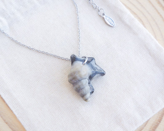Dark Grey Pelican Foot Shell Necklace on display, Real Grey Shell from Algarve, Portugal, Silver Stainless Steel chain