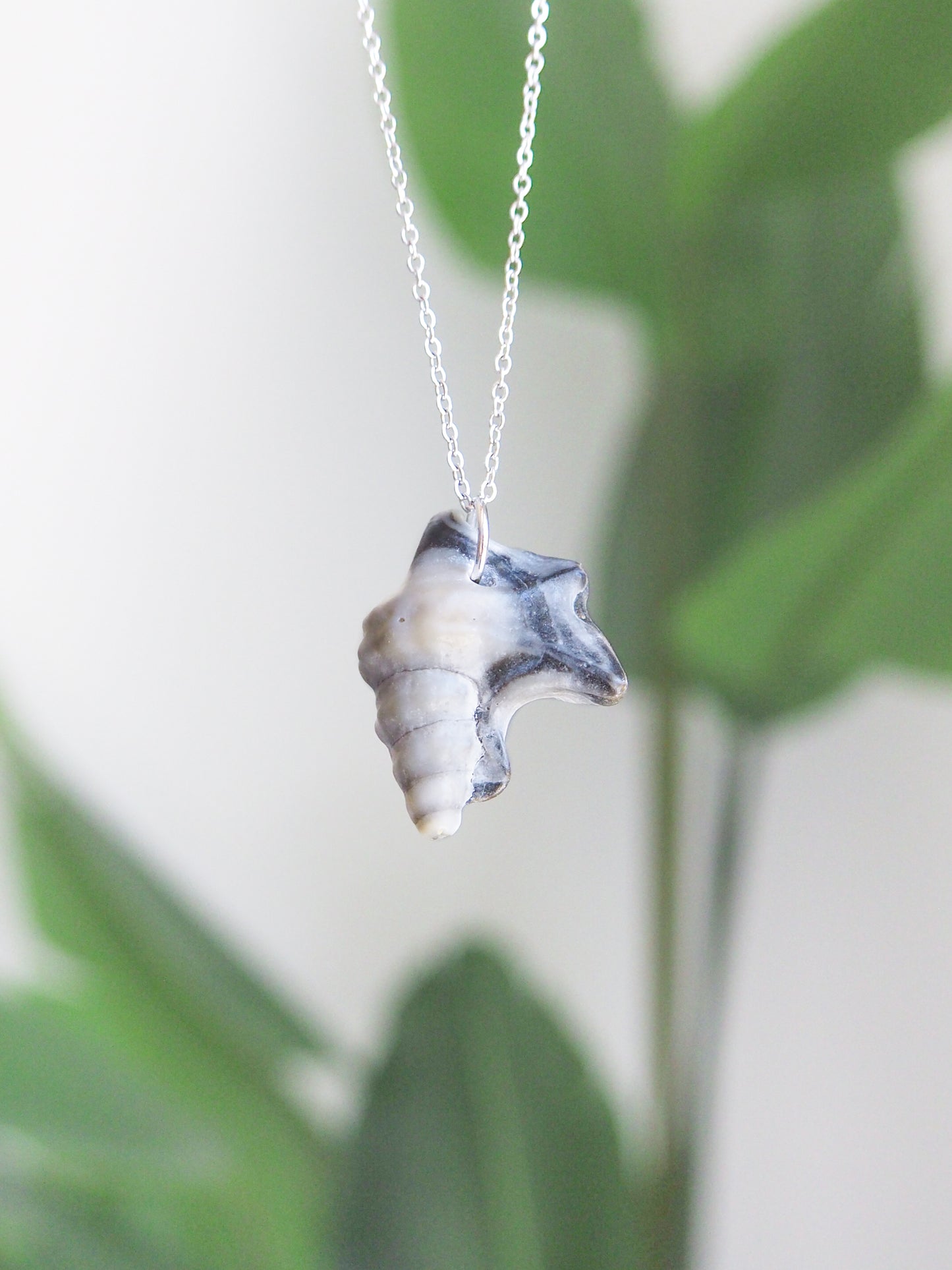 Front view of Dark Grey Pelican Foot Shell Necklace with green plant background, Real Grey Shell from Algarve, Portugal, Silver Stainless Steel chain