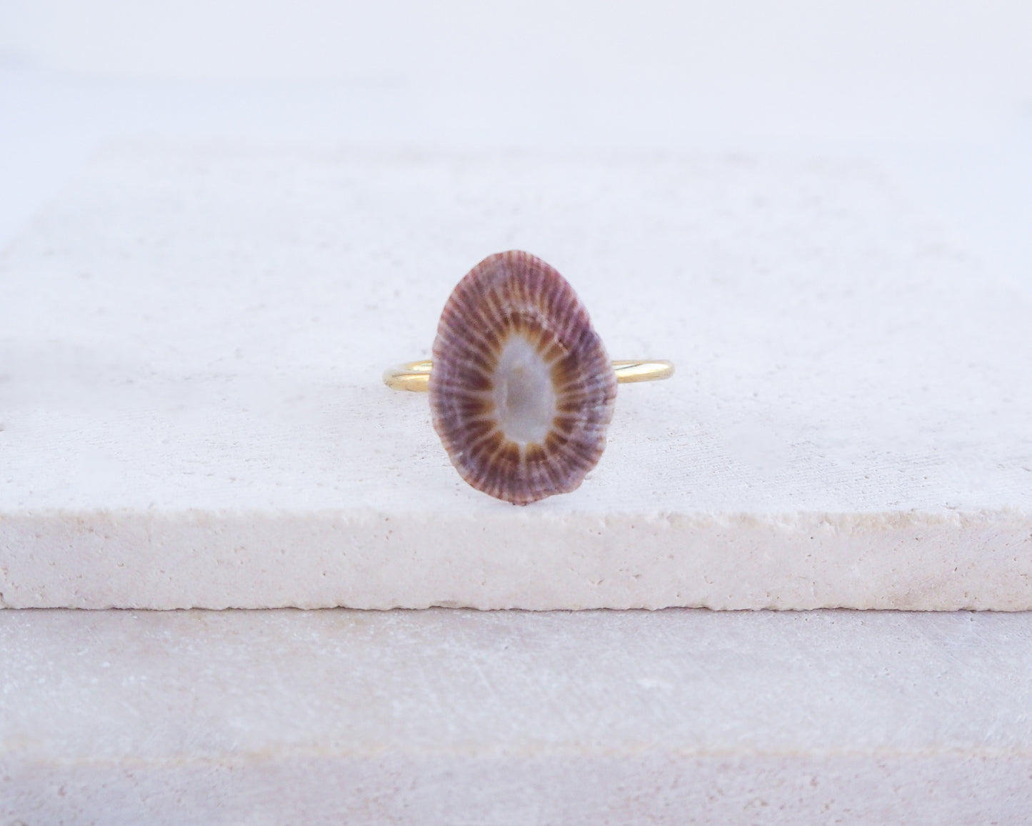 Ring with a dark limpet shell on a light gray background. Adjustable 18k gold stainless steel ring with handpicked limpet shell from Portugal
