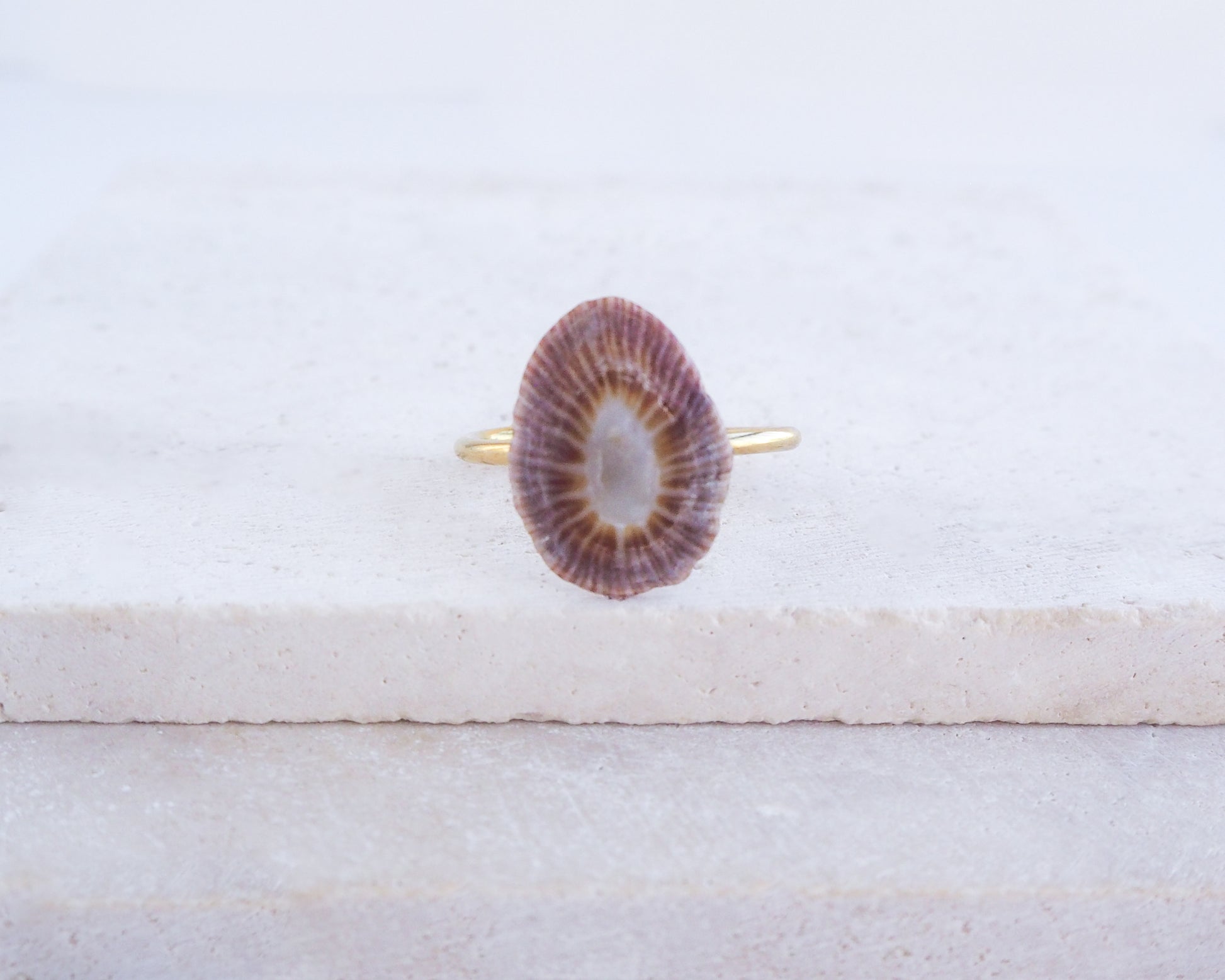 Ring with a dark limpet shell on a light gray background. Adjustable 18k gold stainless steel ring with handpicked limpet shell from Portugal
