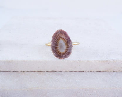 Ring with a dark limpet shell on a light gray background. Adjustable 18k gold stainless steel ring with handpicked limpet shell from Portugal