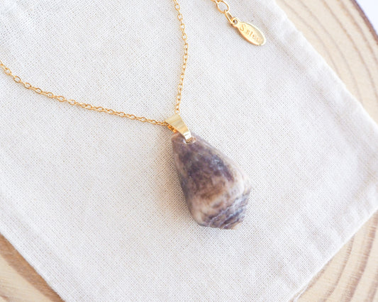 Dark Mediterranean Cone Shell II Gold Necklace on display