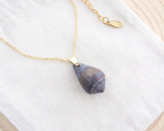 Dark Mediterranean Cone Shell Gold Necklace on display