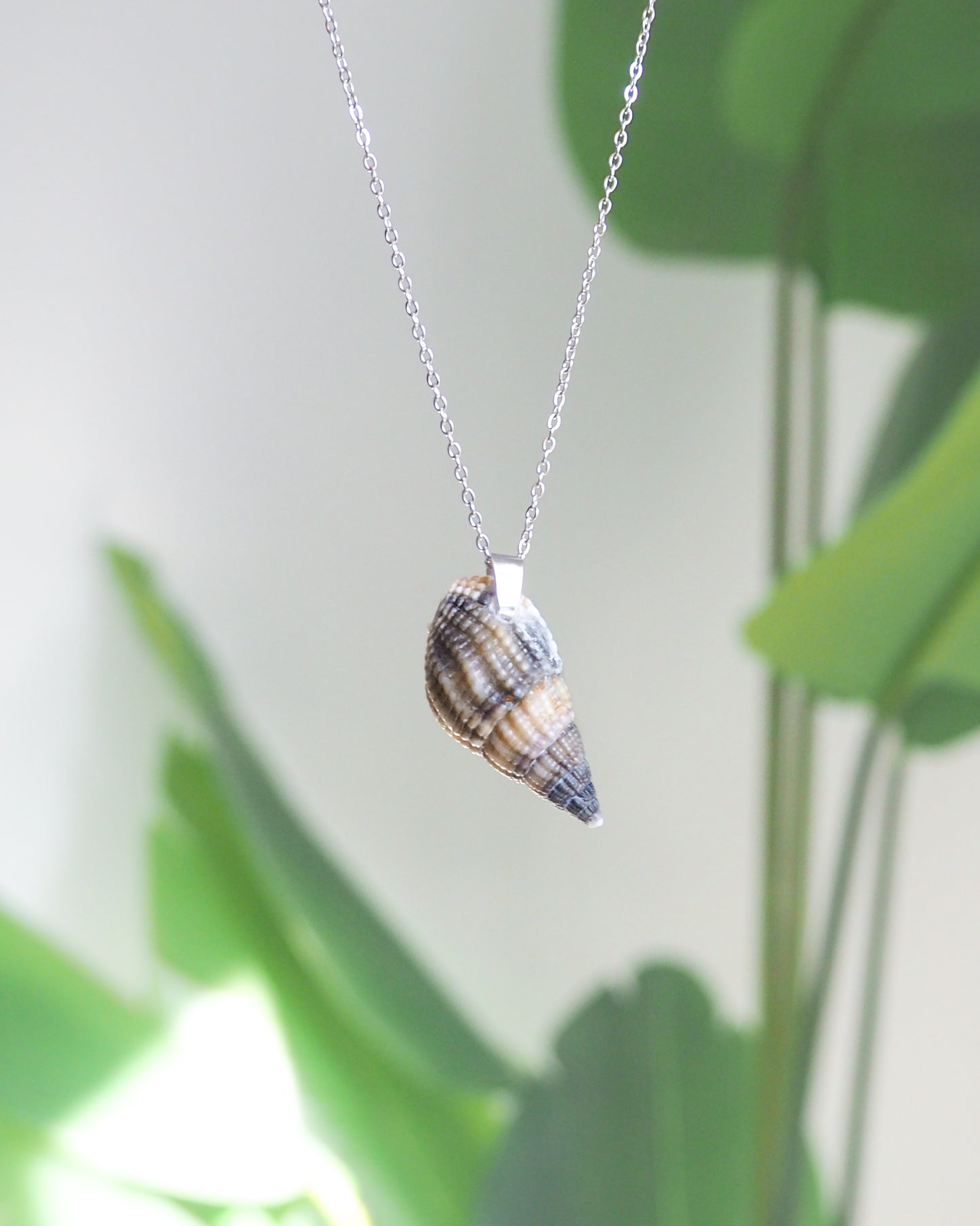 Dark Netted Dog Whelk Shell Silver Necklace with green plant background, Silver stainless steel chain, Netted Dogwhelk Shell handpicked from Portugal