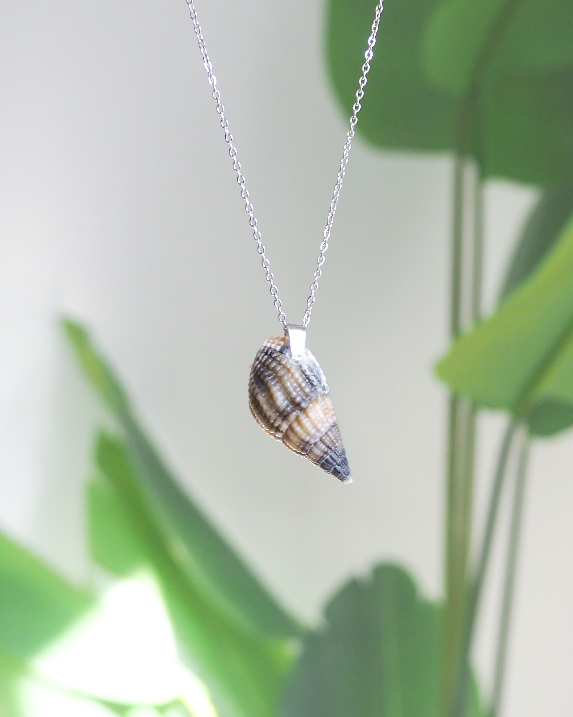 Dark Netted Dog Whelk Shell Silver Necklace with green plant background, Silver stainless steel chain, Netted Dogwhelk Shell handpicked from Portugal