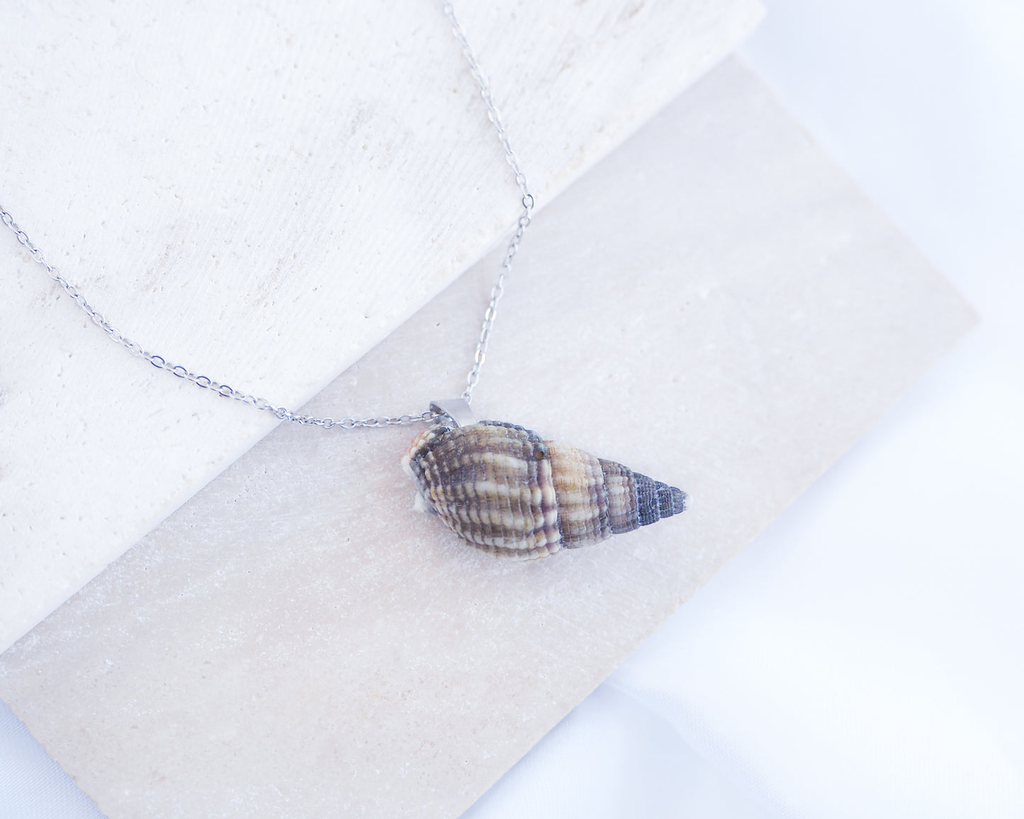 Dark Netted Dog Whelk Shell Silver Necklace on stone displayed, Silver stainless steel chain, Netted Dogwhelk Shell handpicked from Portugal