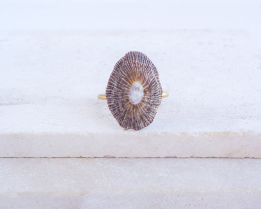 Dark Striped Limpet Shell Gold Ring front view