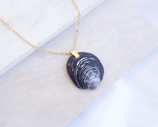 Dark Ungulina Rubra Shell Gold Necklace on display 