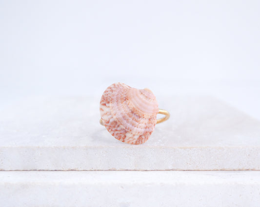 Dusty Rose Venus Shell Ring from Portugal displayed on stone, Dusty Rose Pink shell on gold ring, handpicked real shell from Portugal