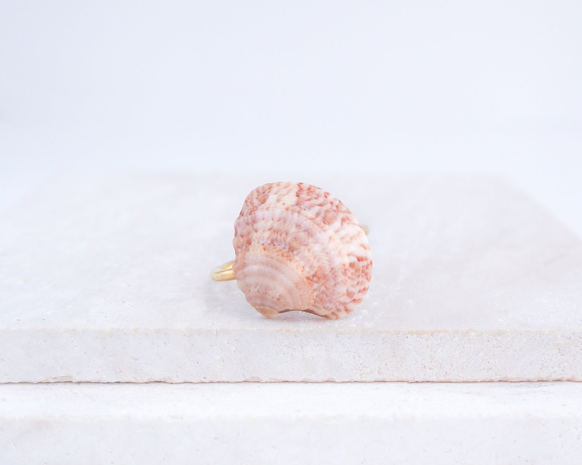 Pink Venus Shell Ring from Portugal displayed on stone side view, Dusty Rose Pink shell on gold ring, handpicked real shell from Portugal
