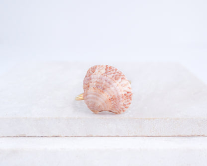 Pink Venus Shell Ring from Portugal displayed on stone side view, Dusty Rose Pink shell on gold ring, handpicked real shell from Portugal