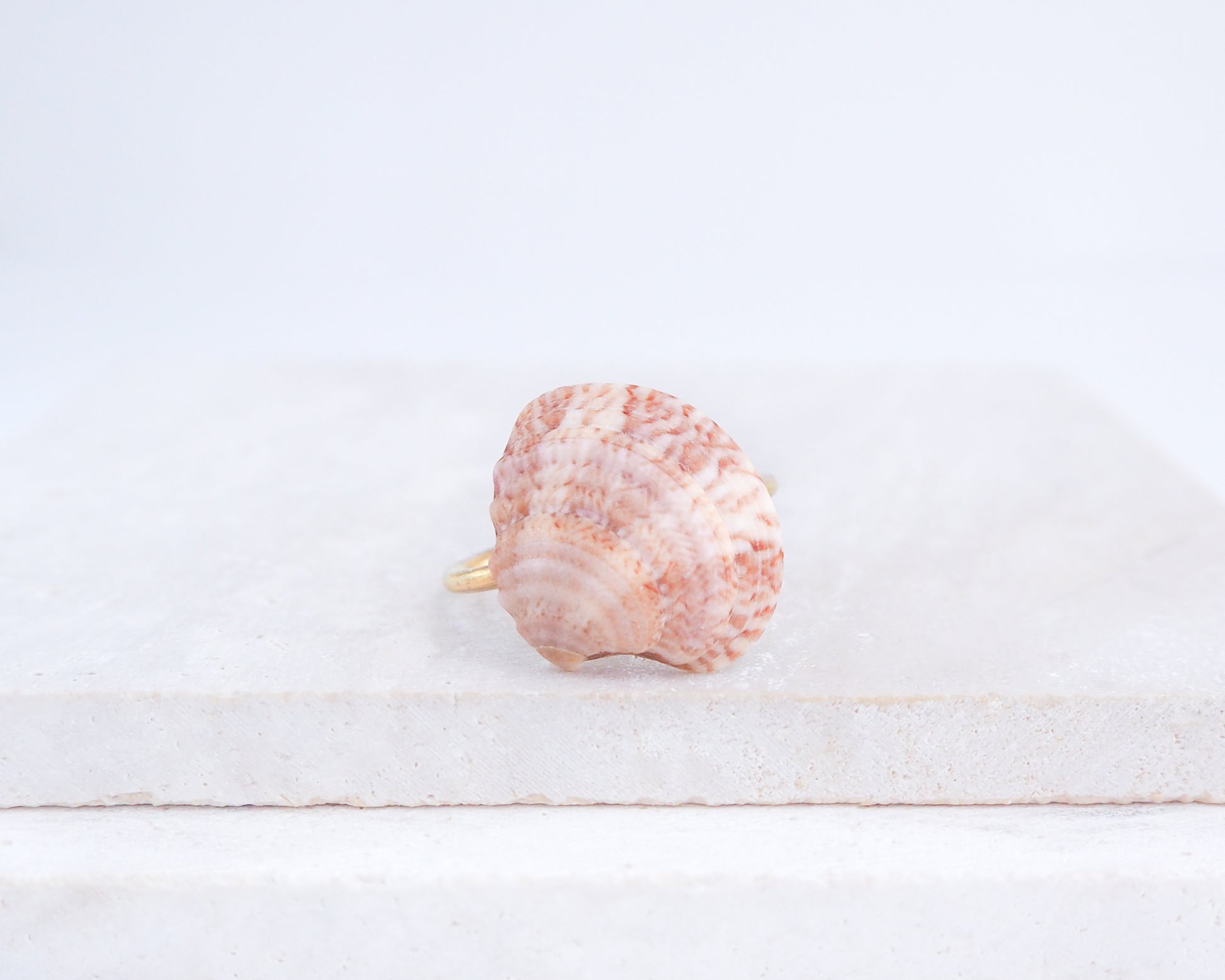 Close up of Dusty Rose Venus Shell Ring from Portugal displayed on stone, Dusty Rose Pink shell on gold ring, handpicked real shell from Portugal