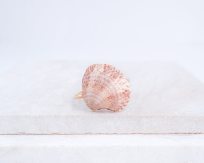 Close up of Dusty Rose Venus Shell Ring from Portugal displayed on stone, Dusty Rose Pink shell on gold ring, handpicked real shell from Portugal
