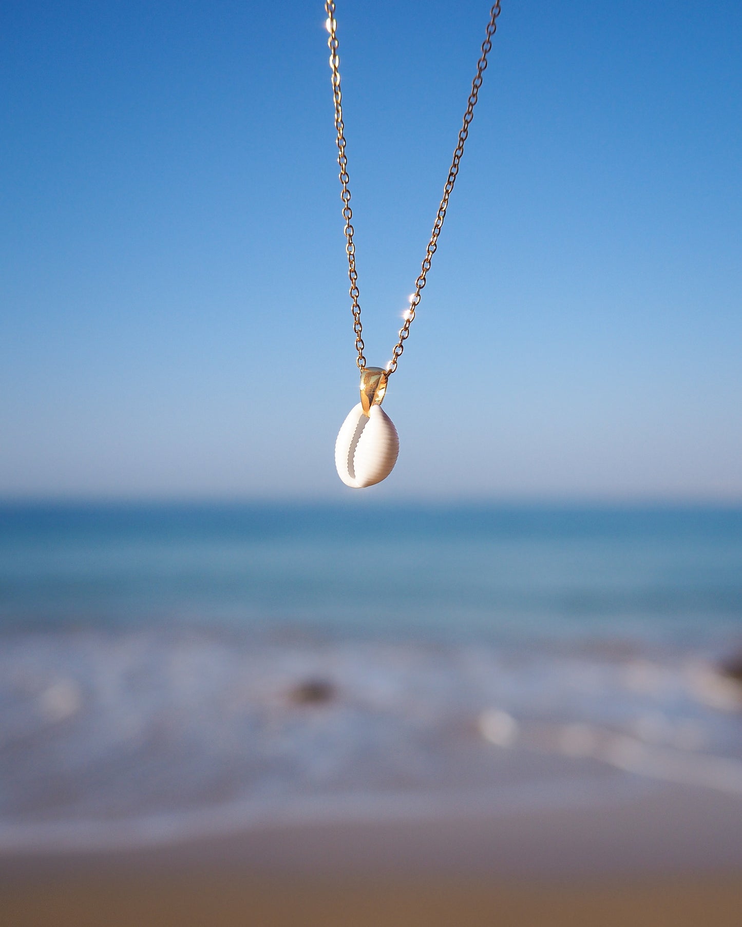 Tiny Cowrie Shell Gold Necklace with ocean background. Handpicked European Cowrie Shell from Portugal, Beijinhos do mar