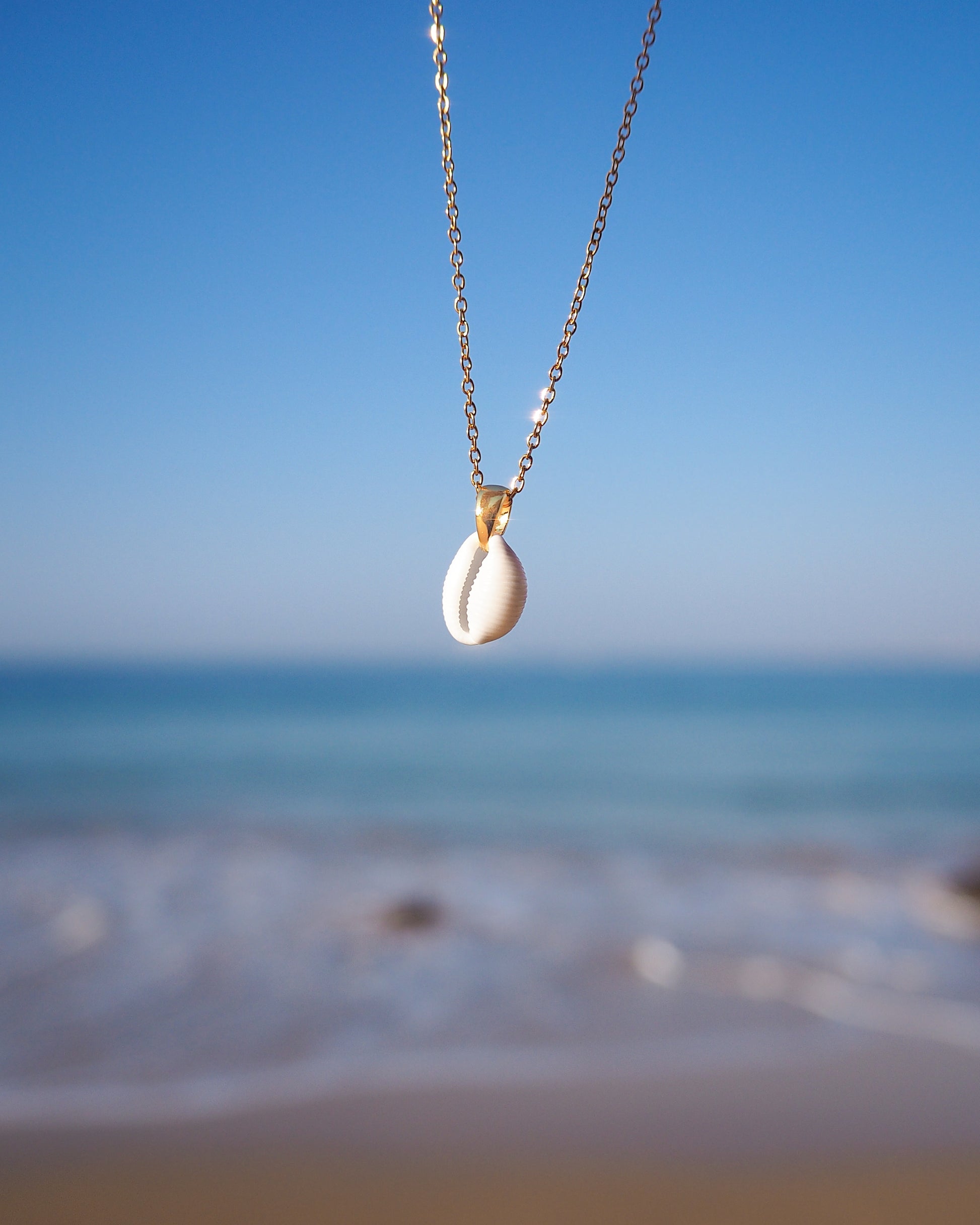 Tiny Cowrie Shell Gold Necklace with ocean background. Handpicked European Cowrie Shell from Portugal, Beijinhos do mar