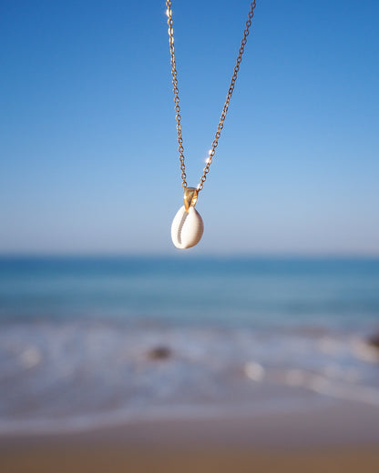 Tiny Cowrie Shell Gold Necklace with ocean background. Handpicked European Cowrie Shell from Portugal, Beijinhos do mar